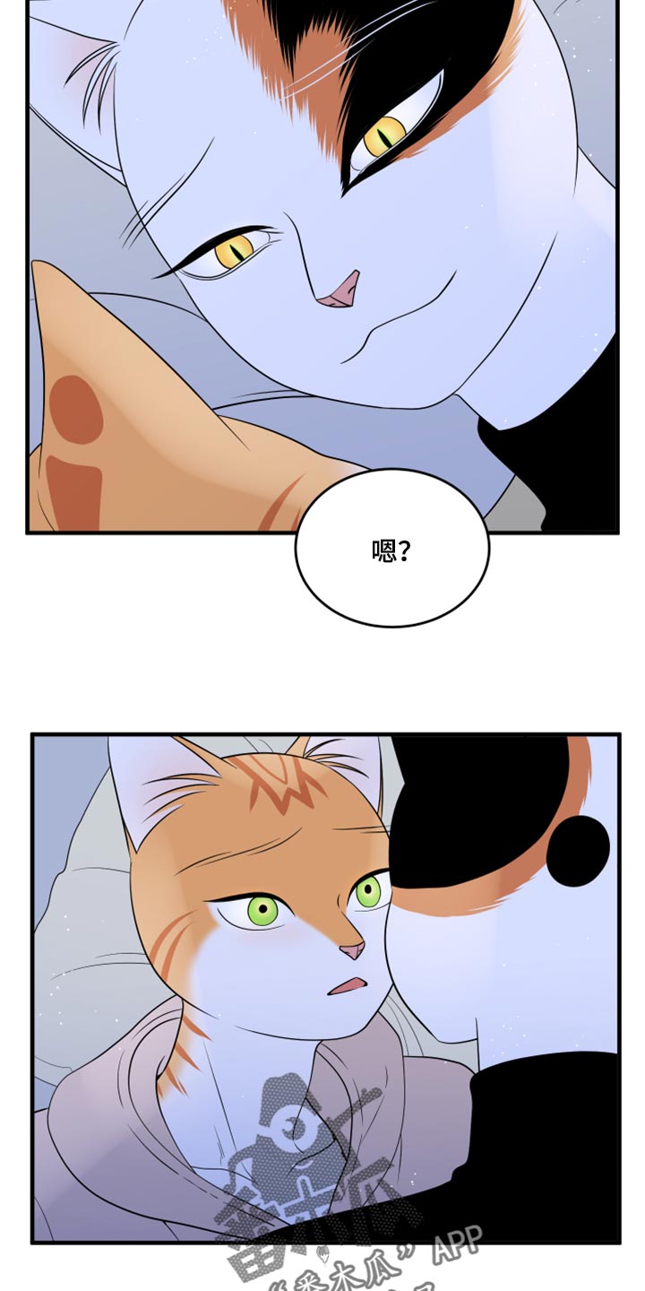 第75章：【第二季】约定14