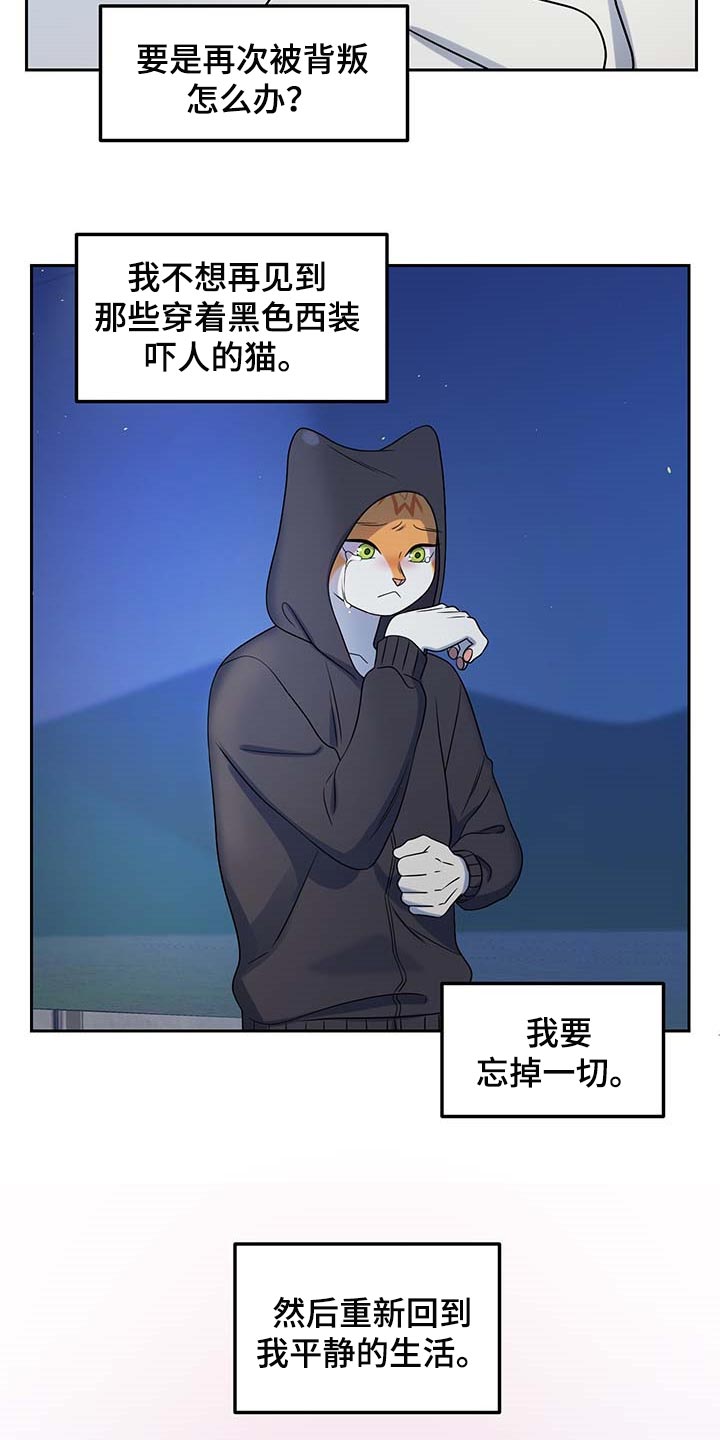 第41章：重新回到平静的生活10