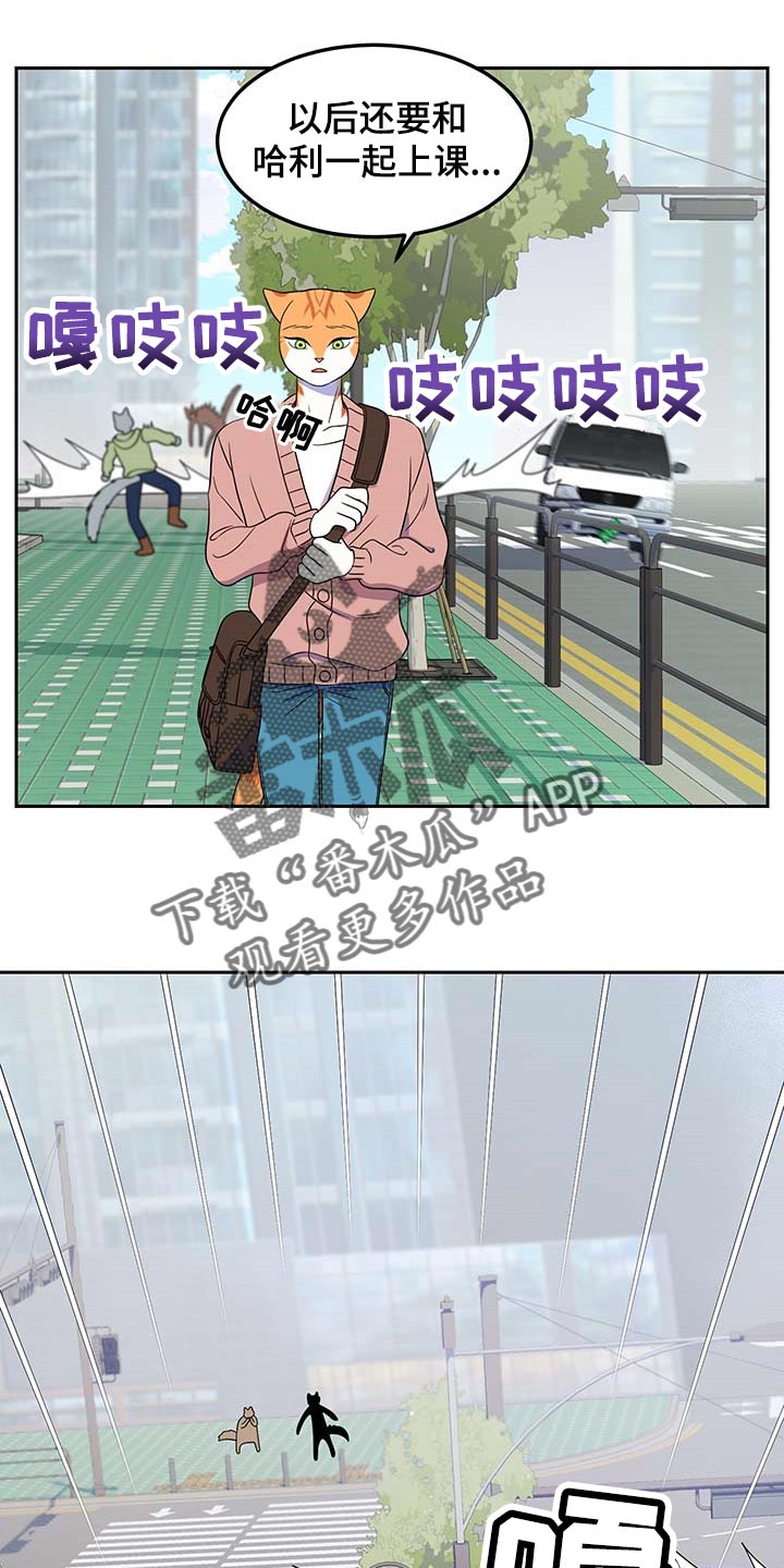 第42章：联系方式5