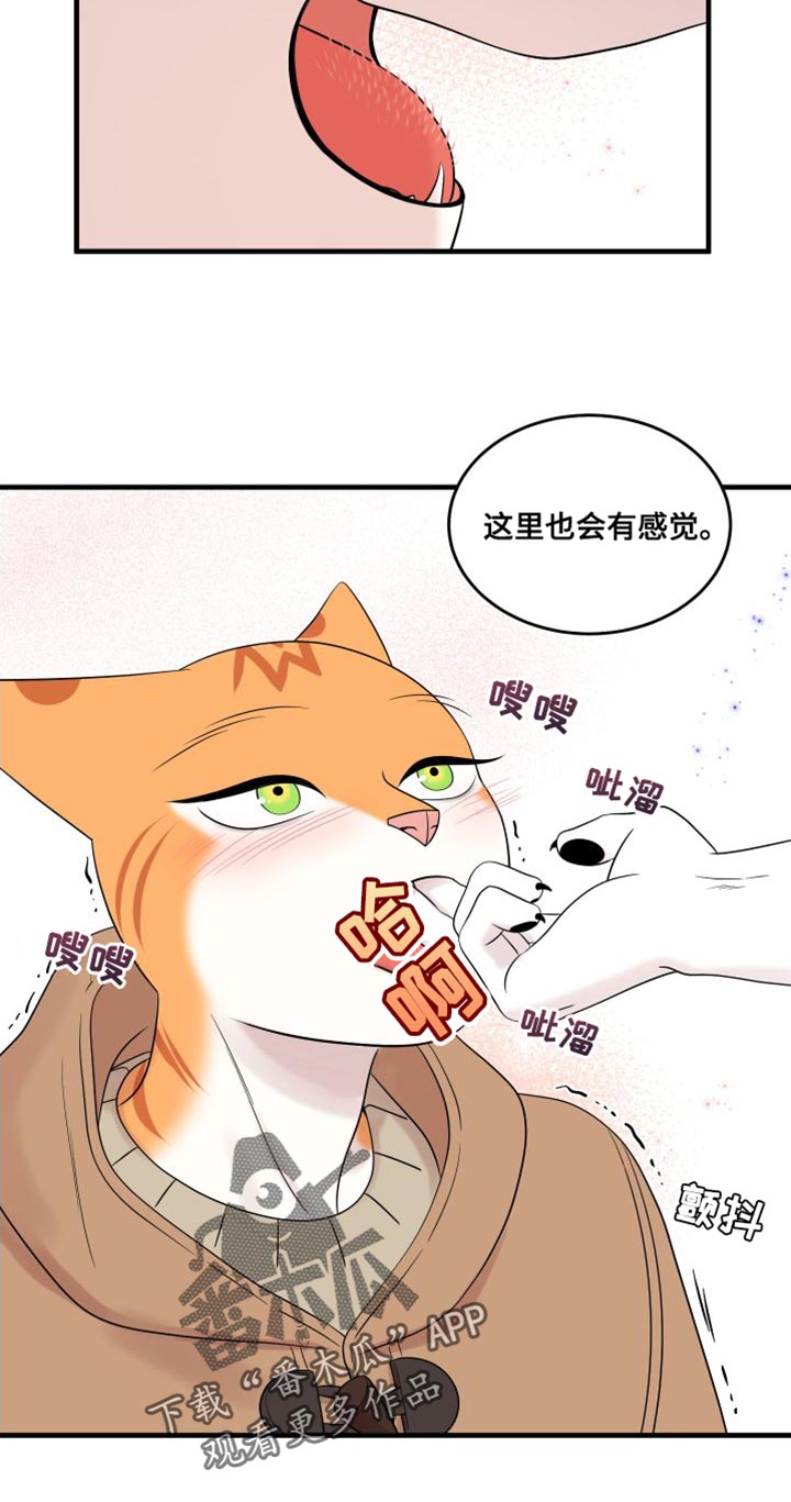 第104章：【第二季】更重要的事11
