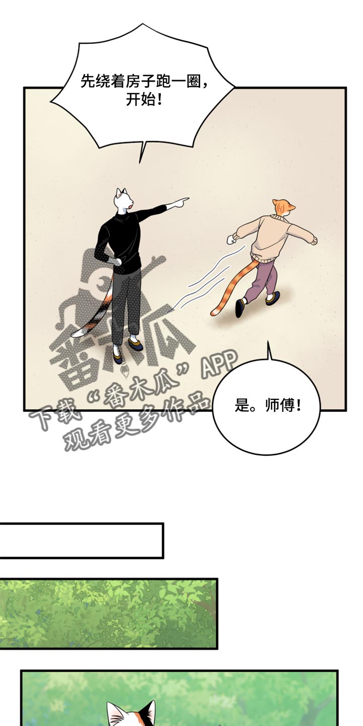 第87章：【第二季】学习防身术16