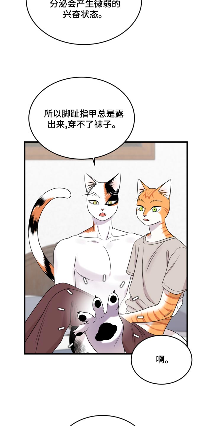 第91章：【第二季】暴走之前4