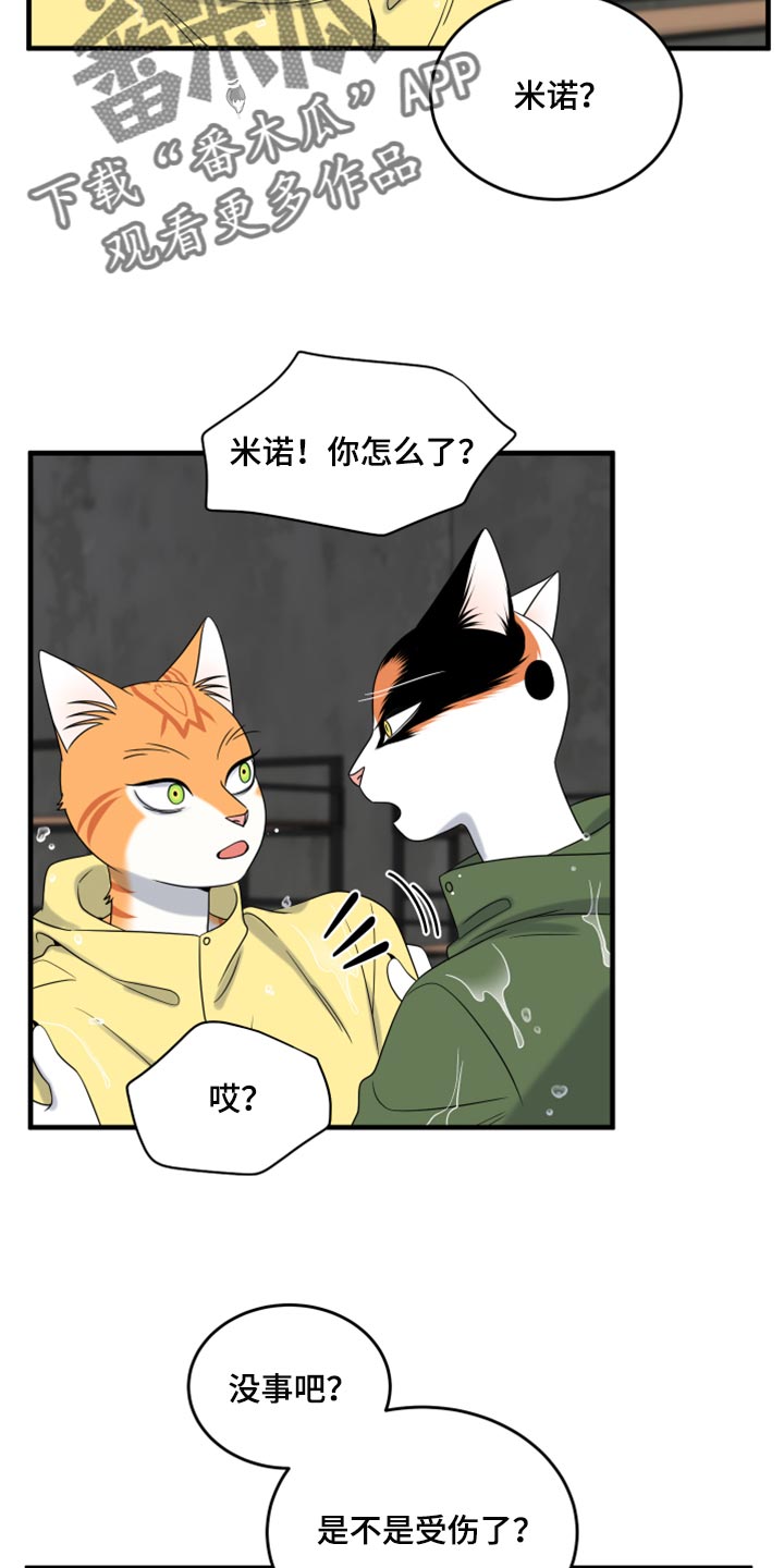 第88章：【第二季】台风22