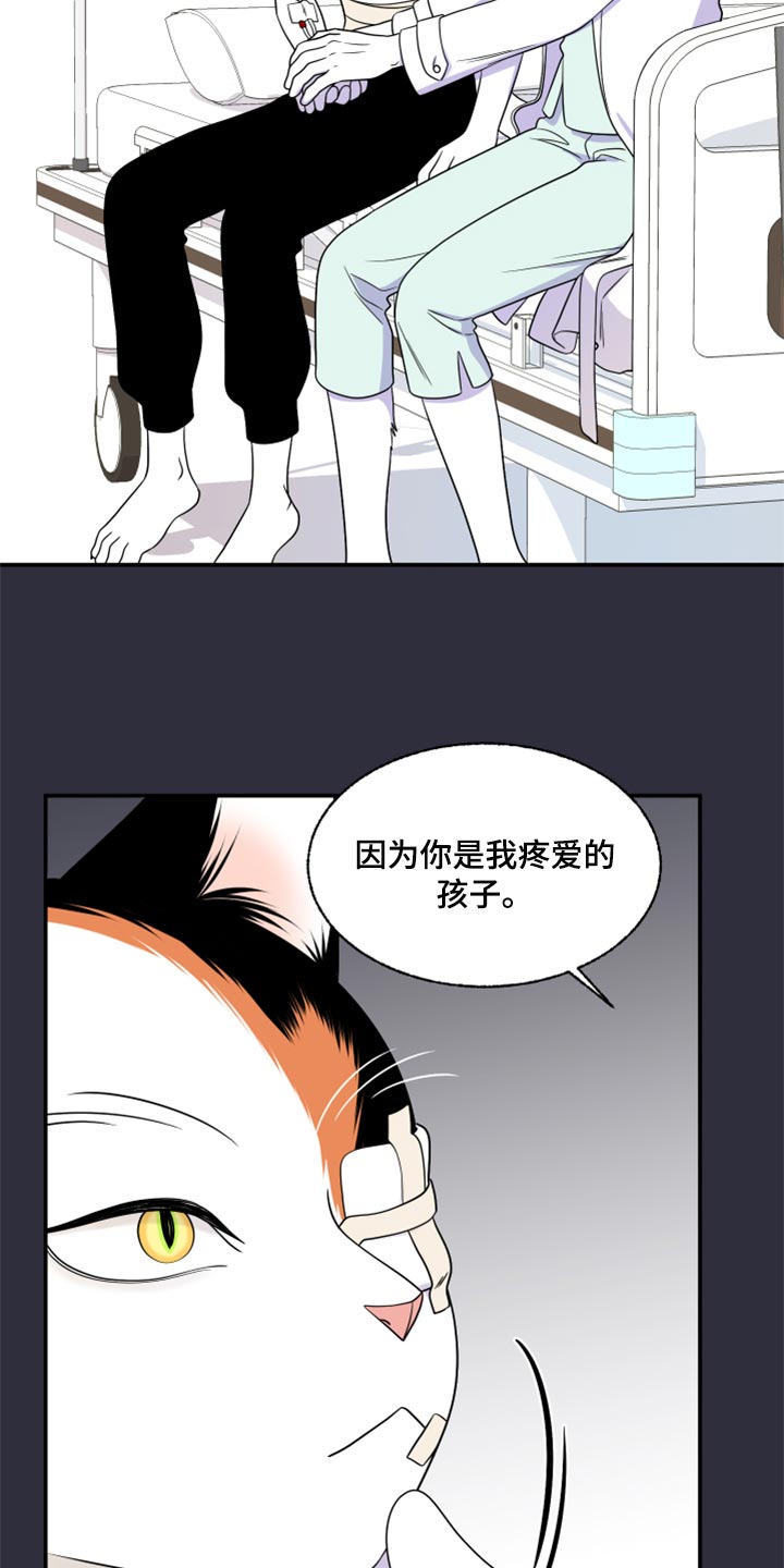 第52章：我的人生我做主（第一季完结）7