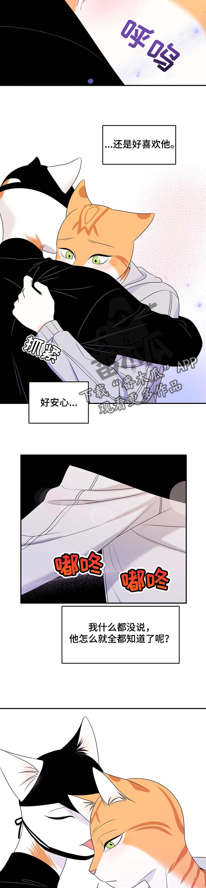 第21章：安心2