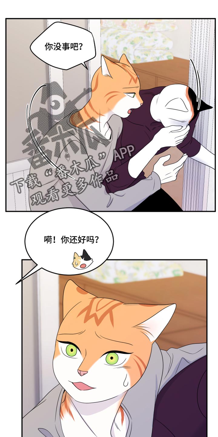 第54章：【第二季】你要丢下我?17