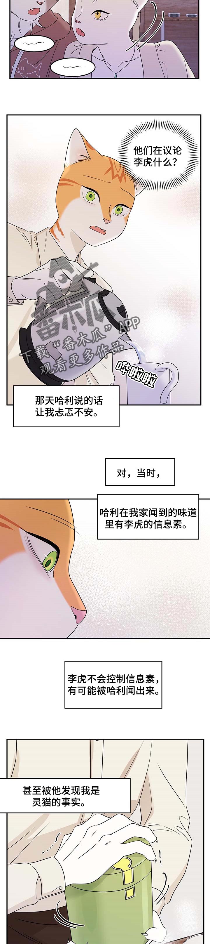 第23章：担心5