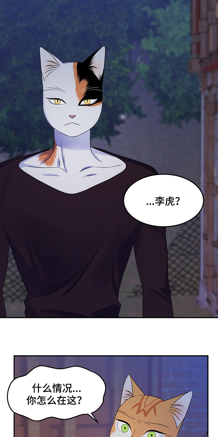第35章：一个人很危险14