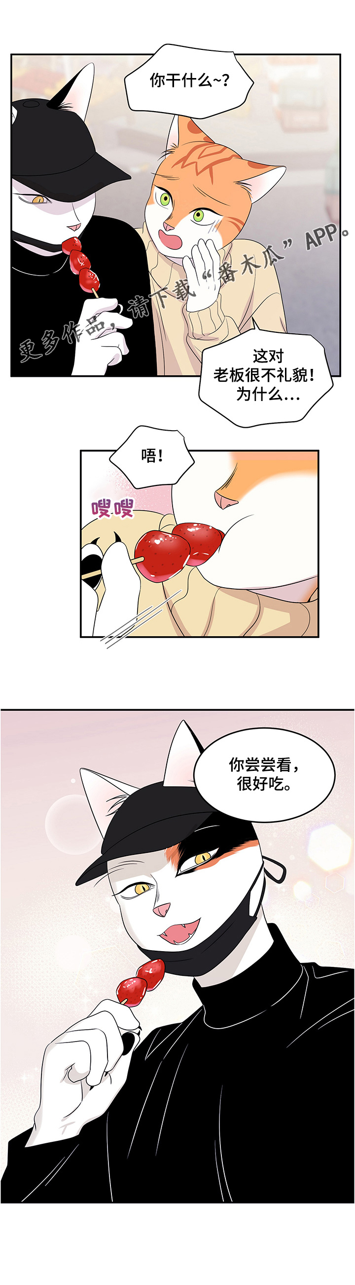 第9章：集市5