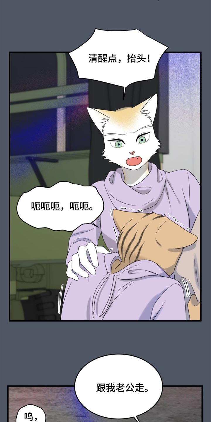 第81章：【第二季】中弹25