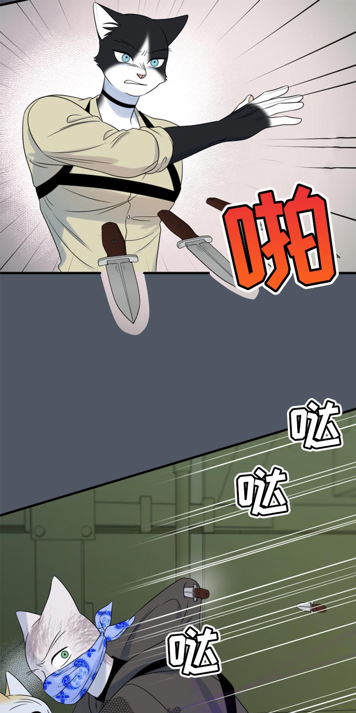 第83章：【第二季】捕猎13