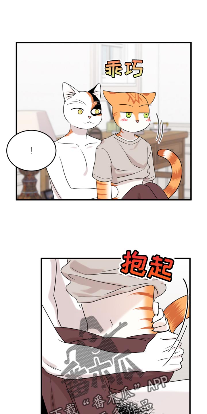第91章：【第二季】暴走之前0