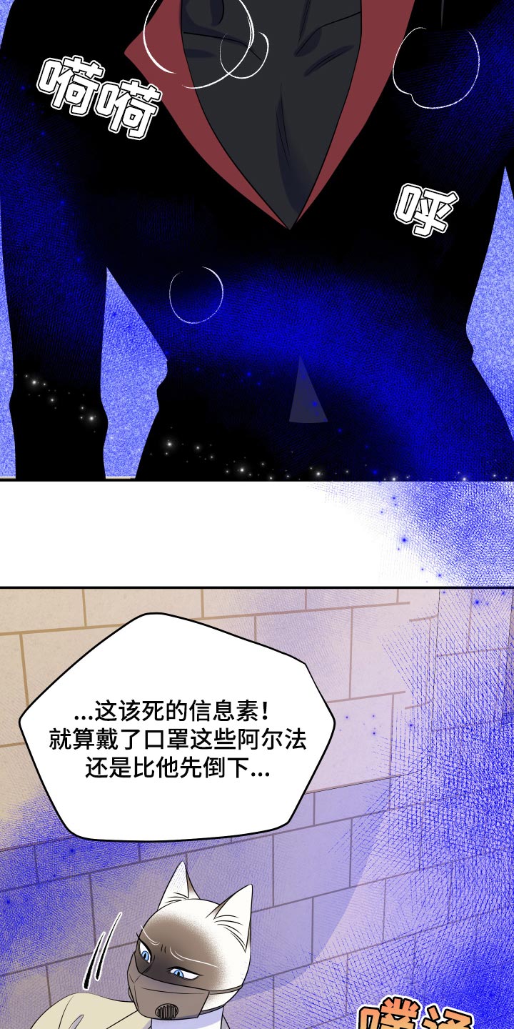 第50章：恶斗16