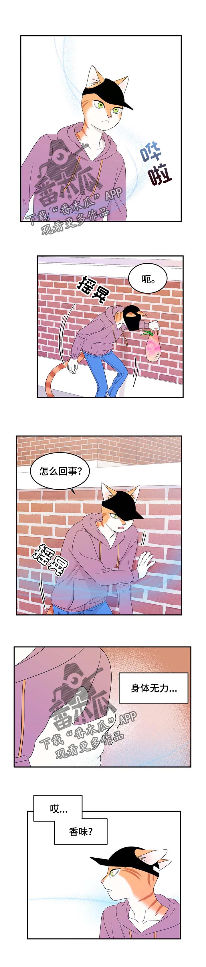 第27章：绑架0