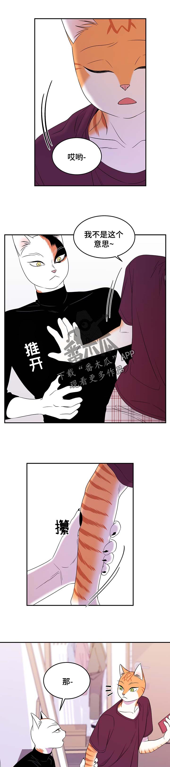 第17章：早去早回5