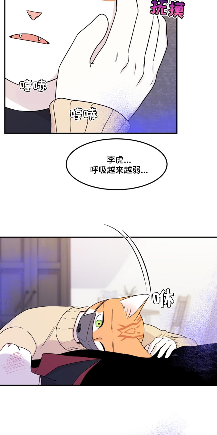 第51章：决定3