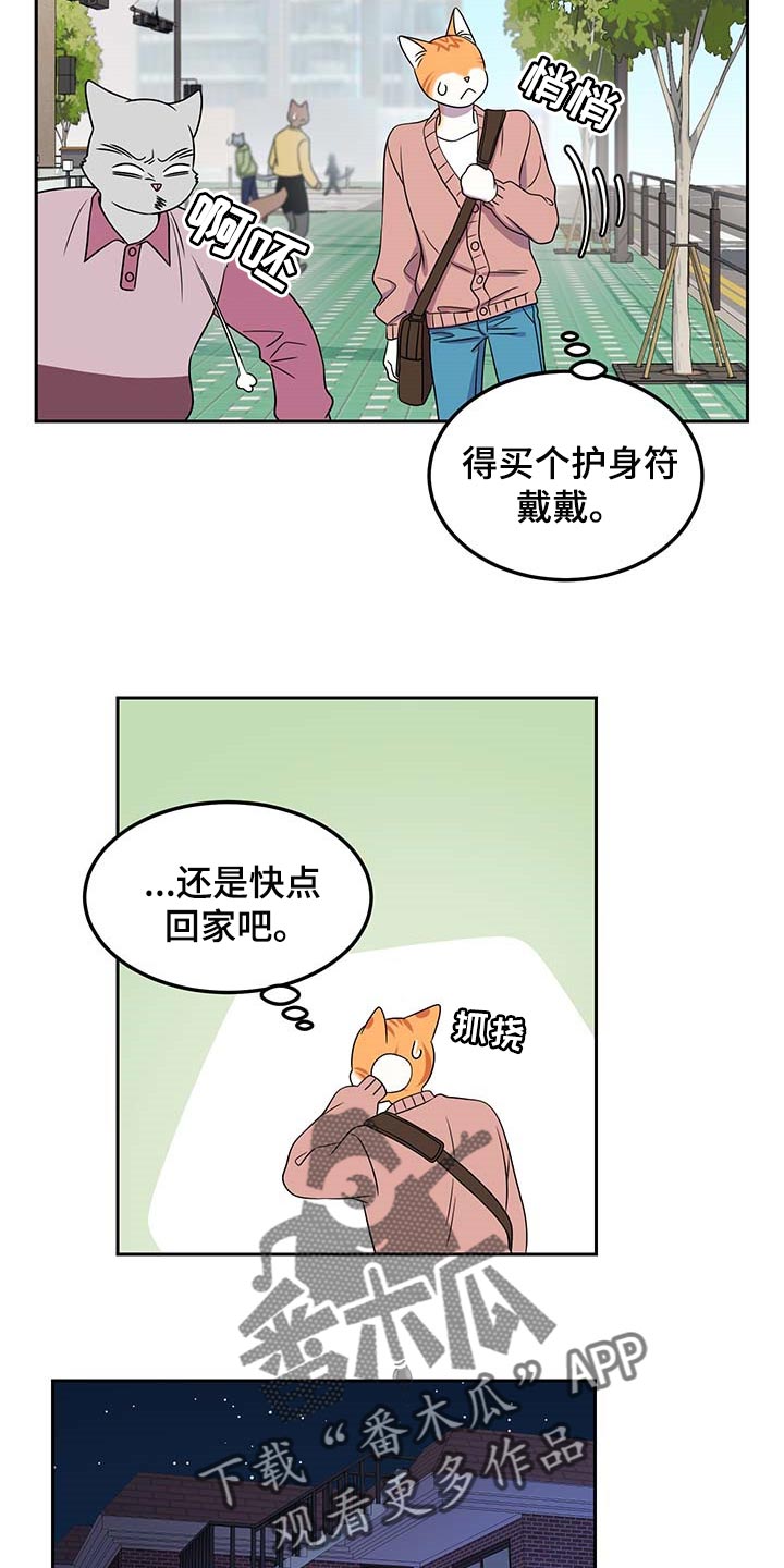 第42章：联系方式10