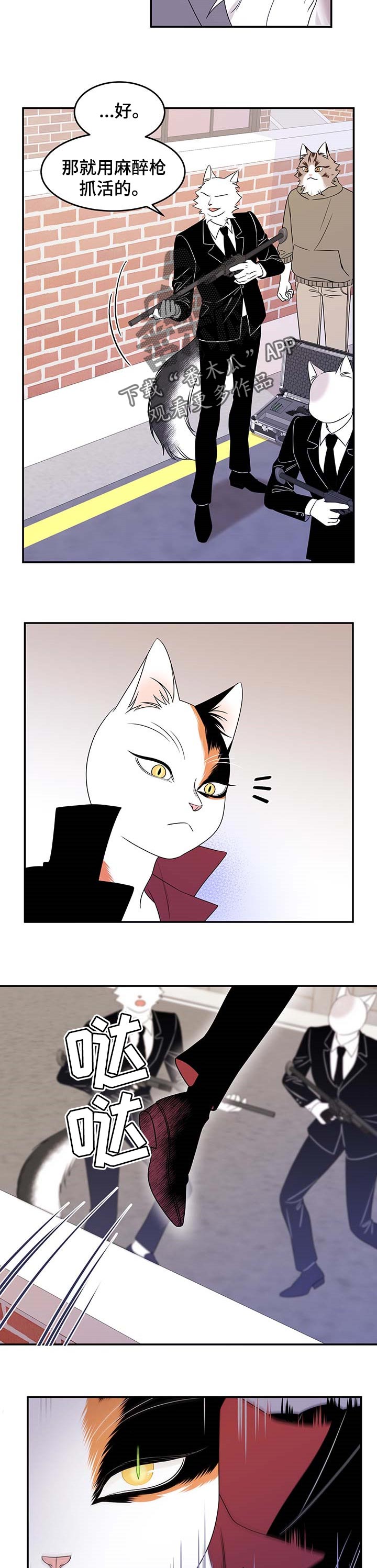 第28章：奇特2