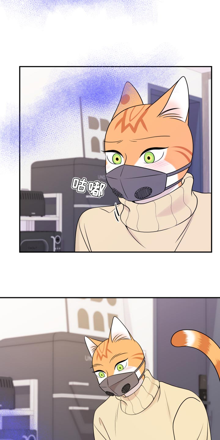 第51章：决定11