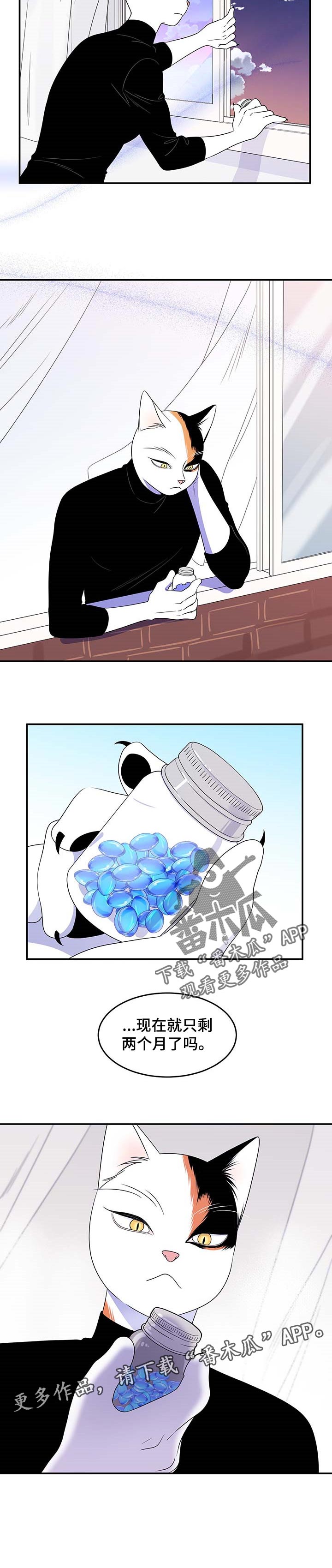 第16章：吃药10