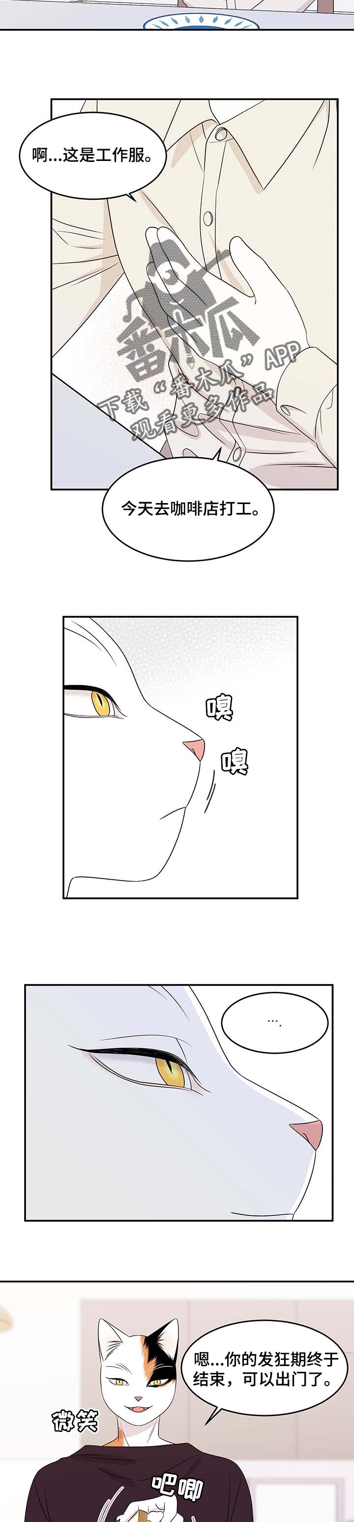 第21章：安心6