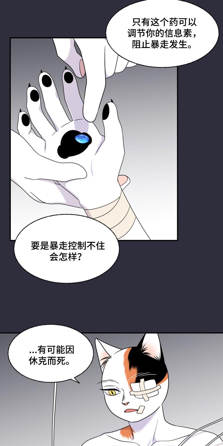 第52章：我的人生我做主（第一季完结）5
