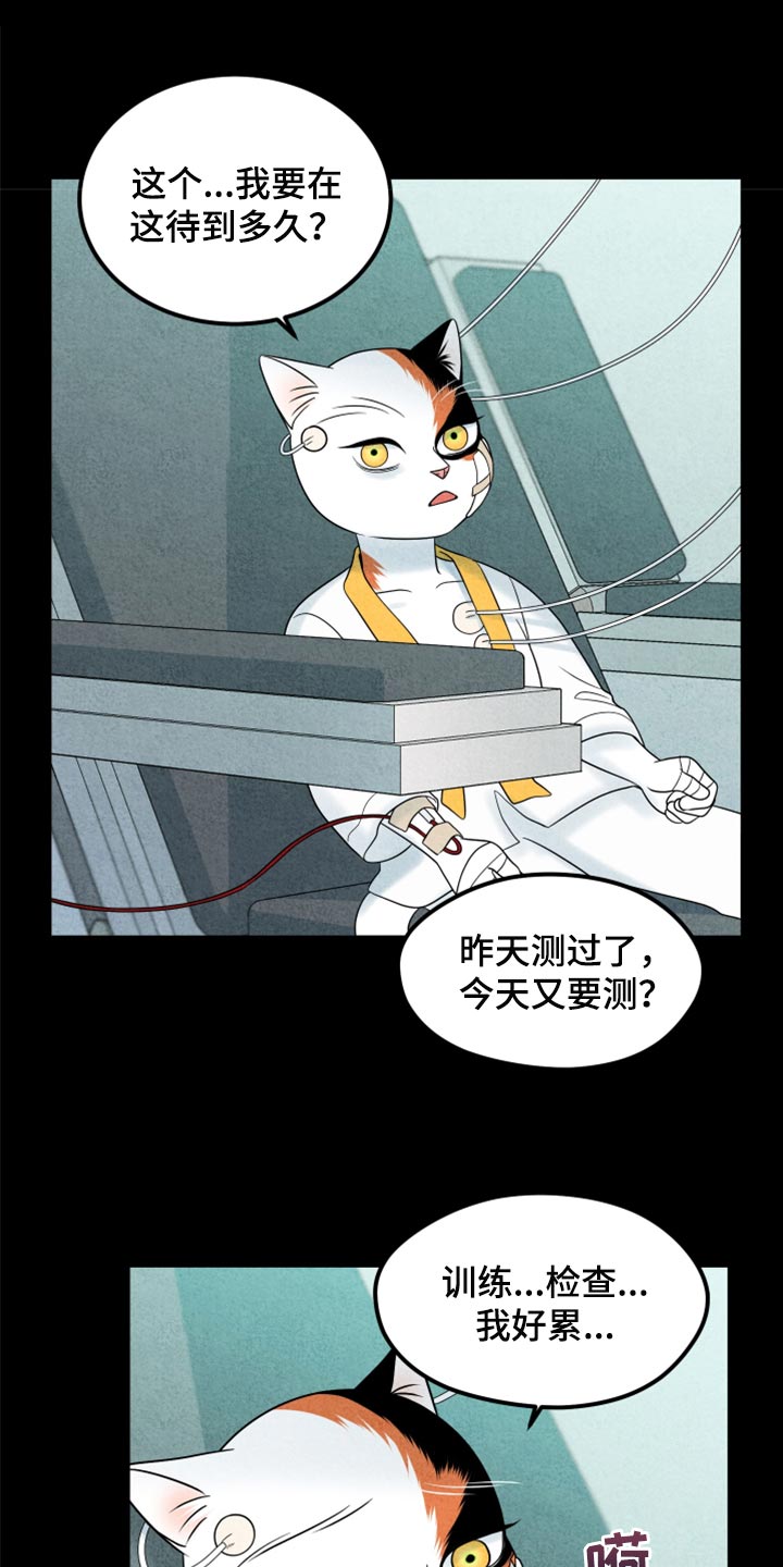 第70章：【第二季】我想放弃11