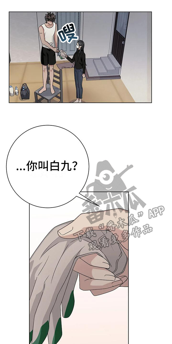 第15章：敷衍16
