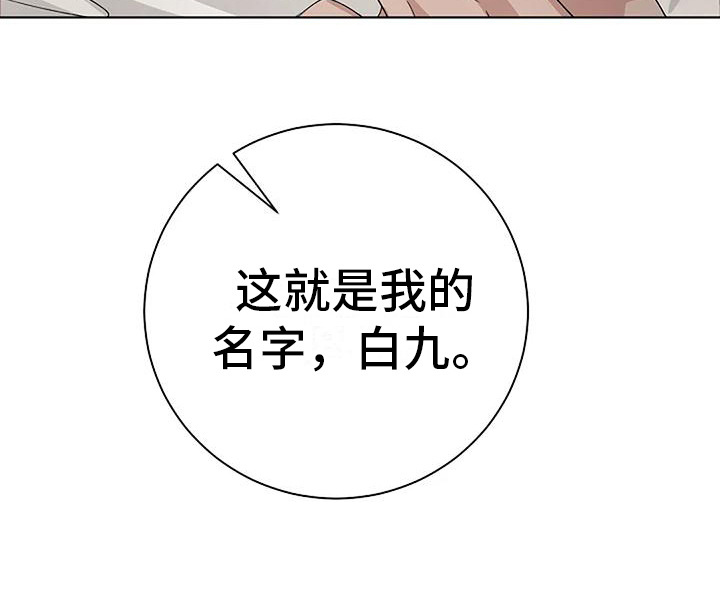 第15章：敷衍19