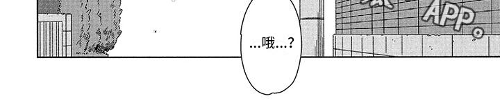 第11章：寻找5