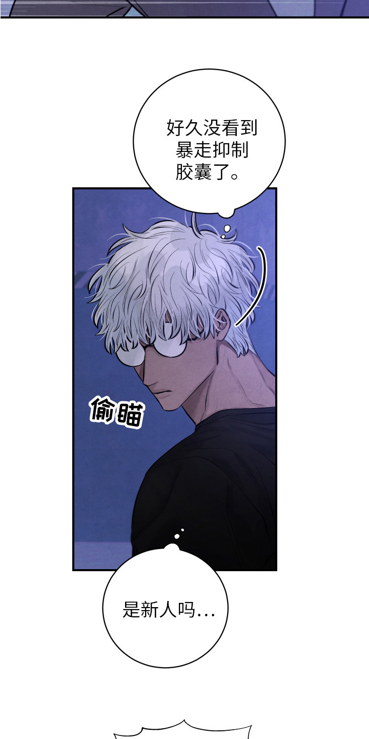 第8章：镇定剂11