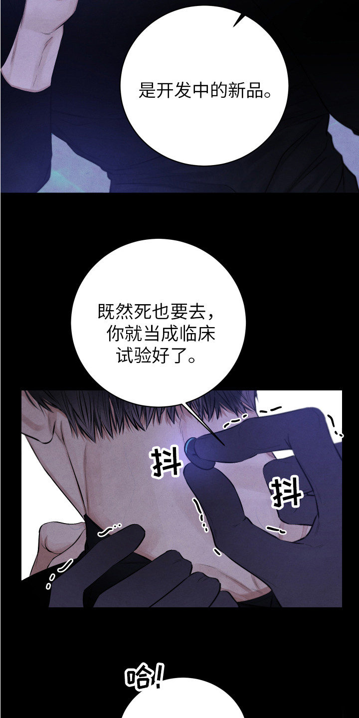 第8章：镇定剂6