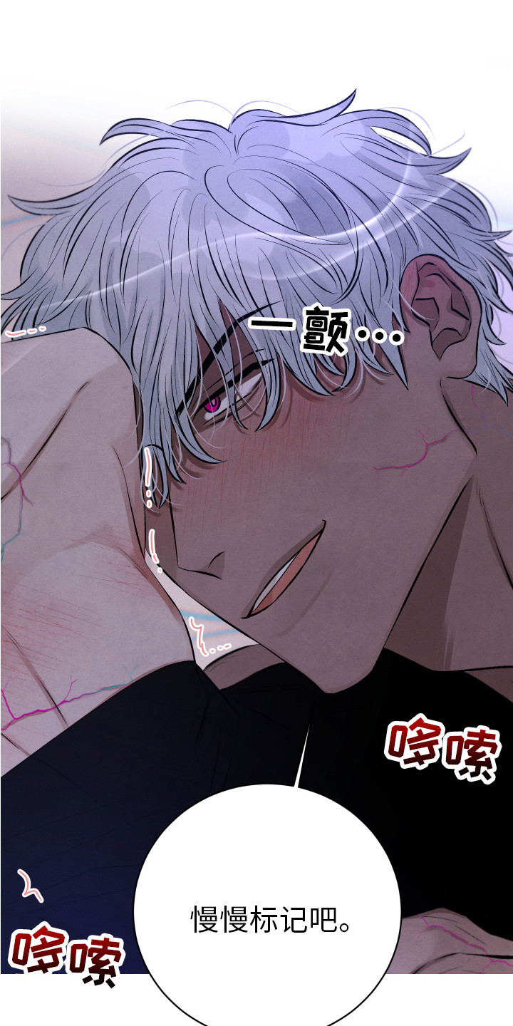 第13章：慢慢标记24