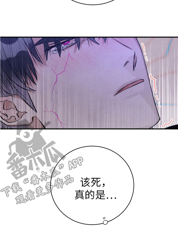 第13章：慢慢标记25