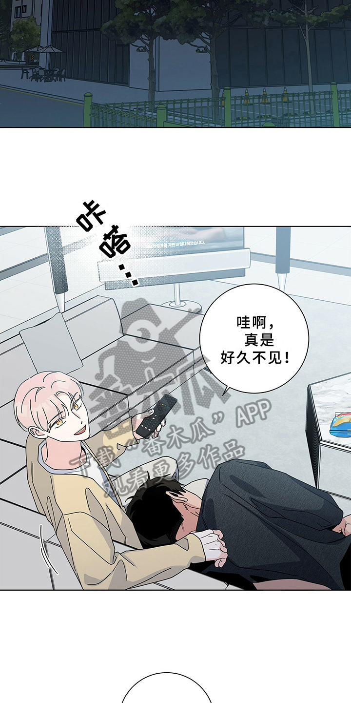 第11章：建议7