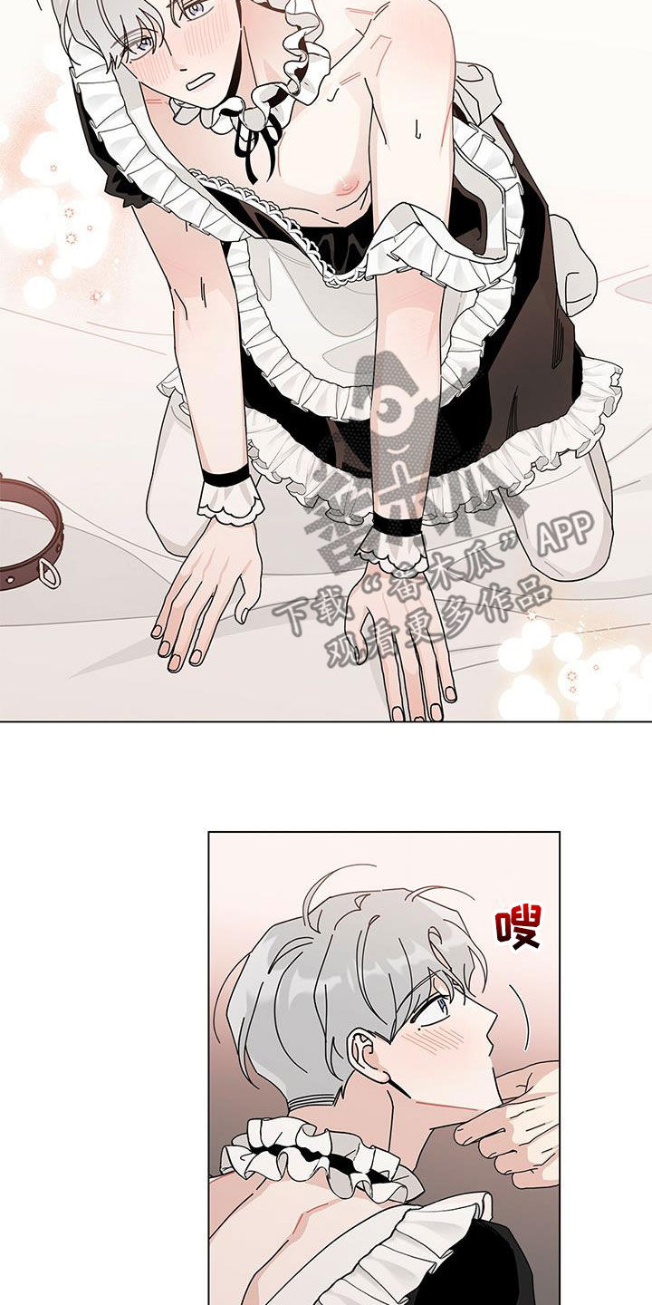 第55章：喜好17