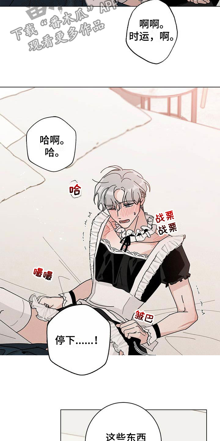 第54章：一件一件试19