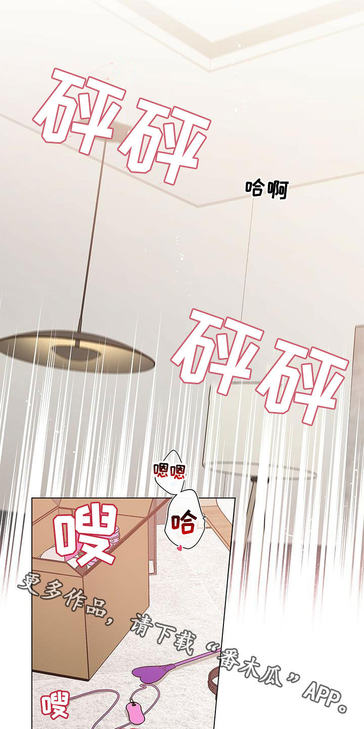 第55章：喜好19