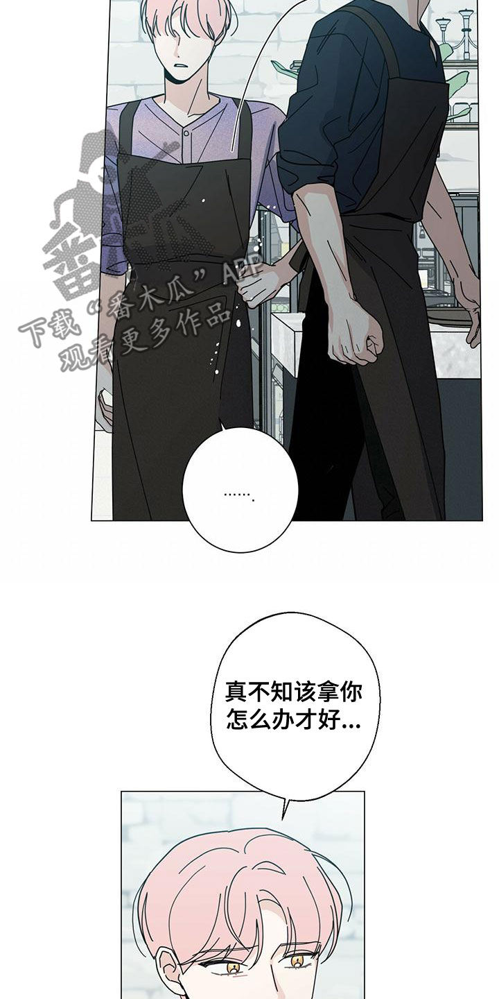 第81章：猜测14