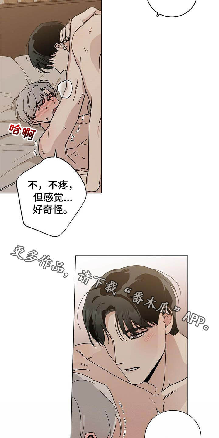 第33章：我保证18