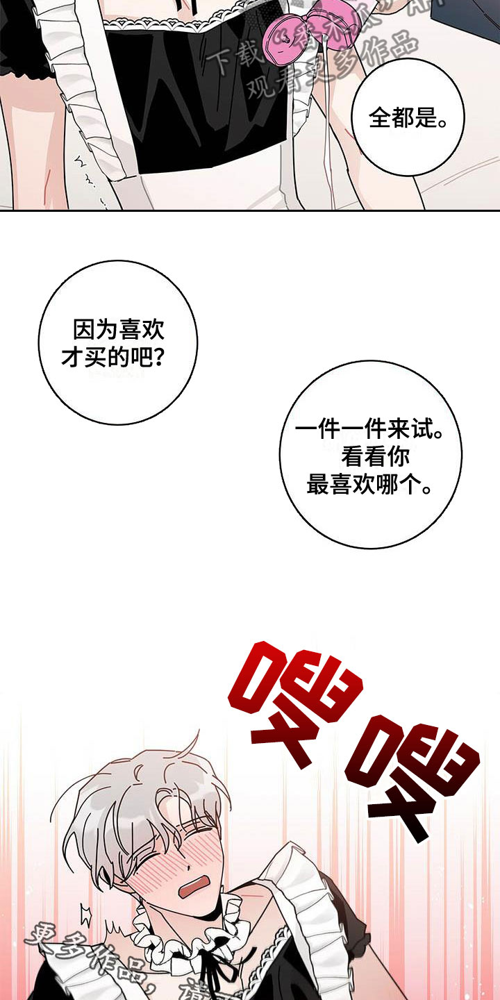 第54章：一件一件试21