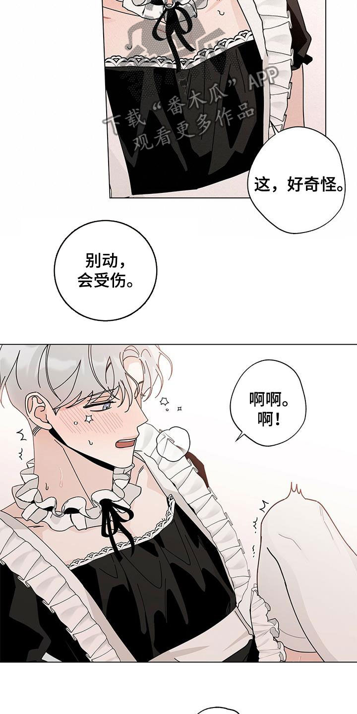 第55章：喜好5