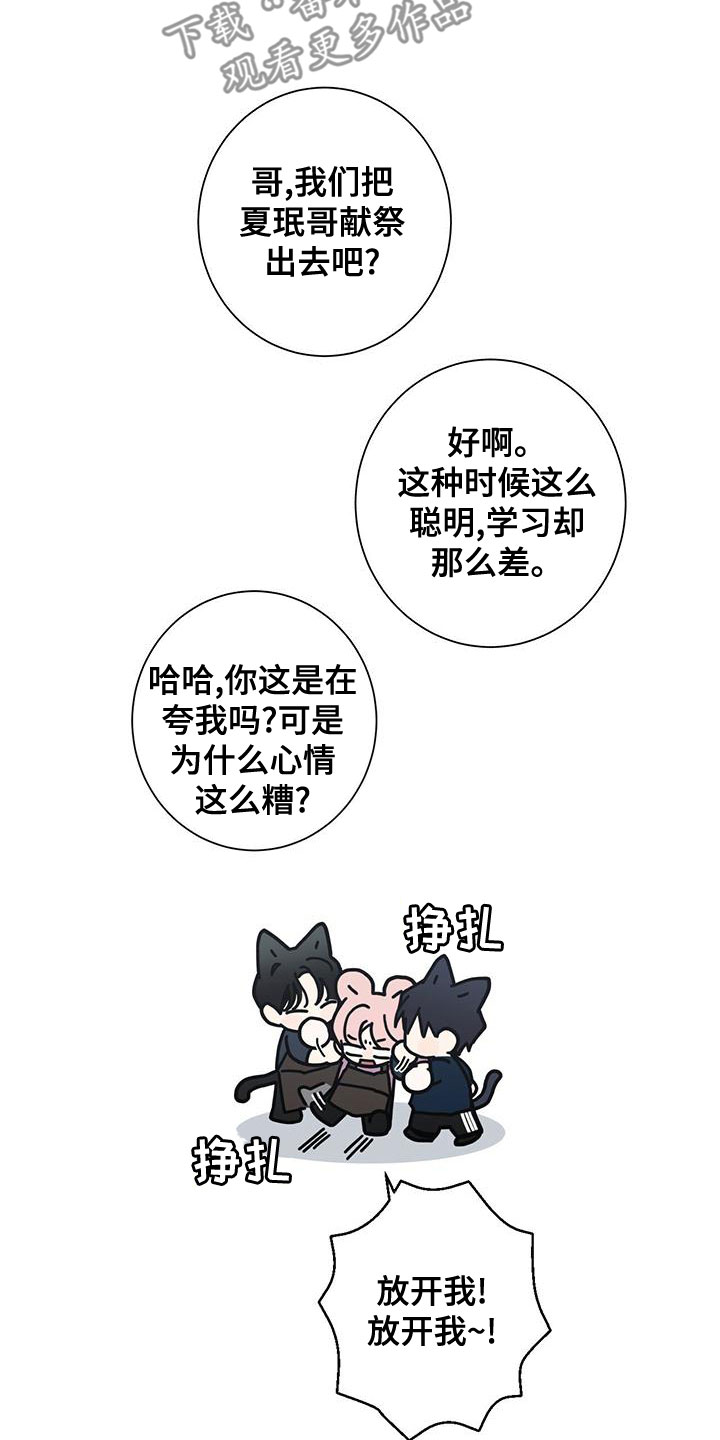 第83章：如临大敌5