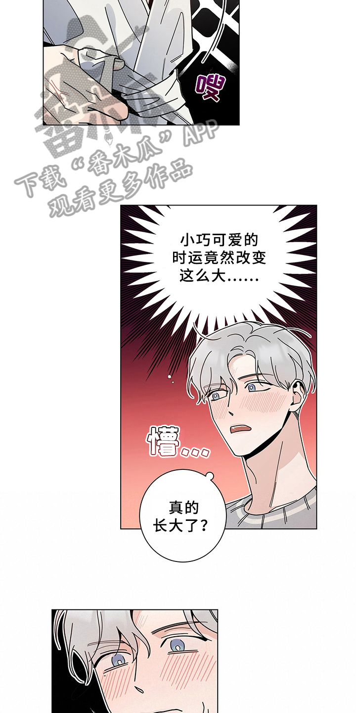 第13章：担心7