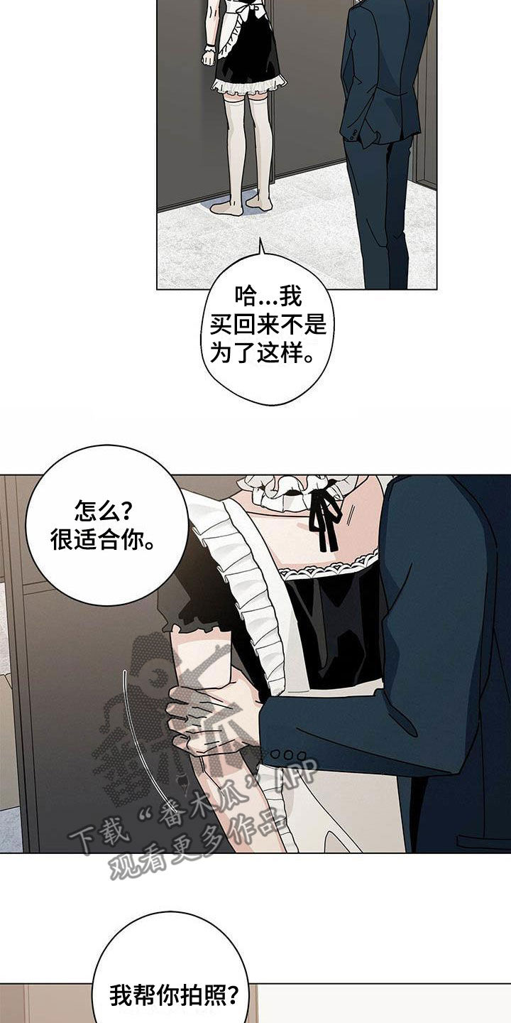 第54章：一件一件试5