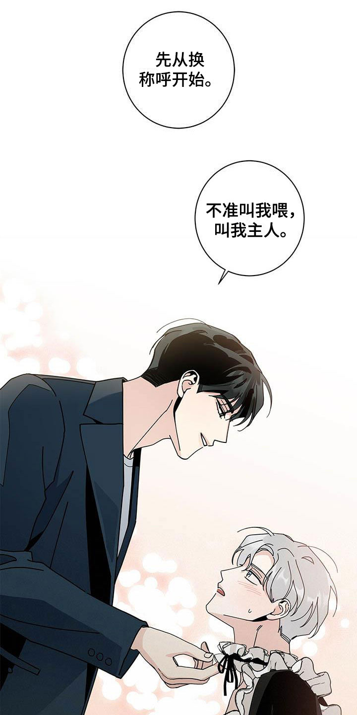 第54章：一件一件试13
