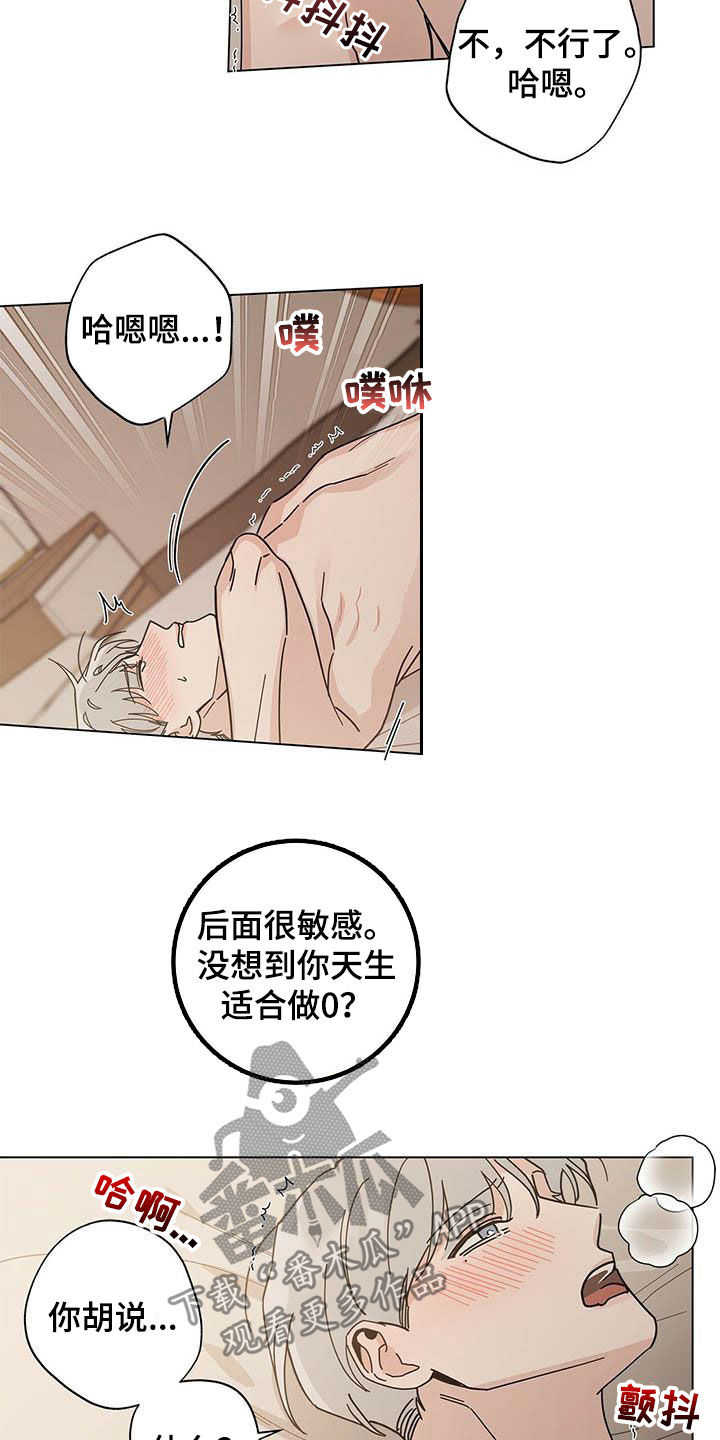 第32章：正式开始18