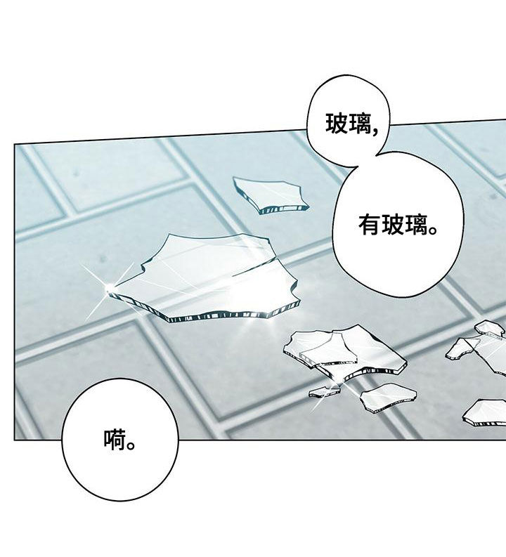 第79章：羡慕你10