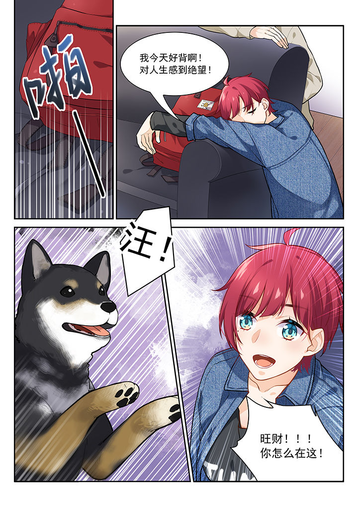 第29章：3