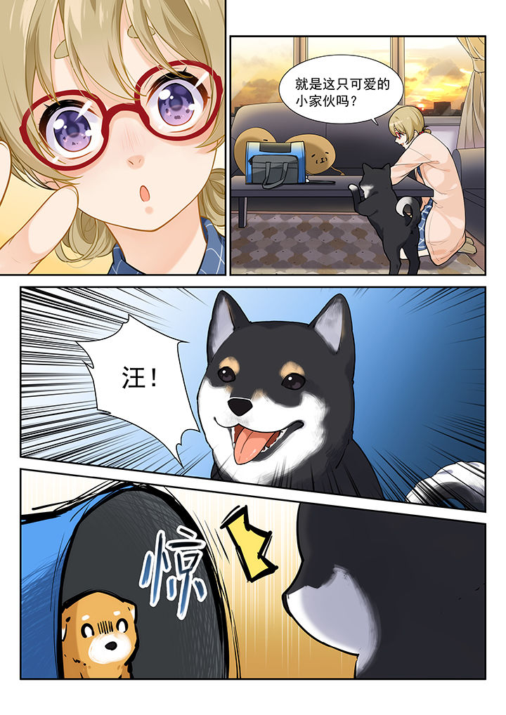 第29章：0